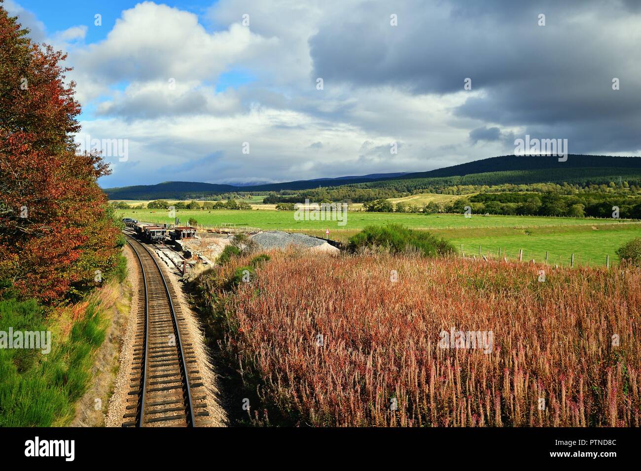 Broomhill, Scotland, Regno Unito. Una singola via di Strathspey giunzioni ferroviarie attraverso la bellezza di erica e Highlands Scozzesi. Foto Stock