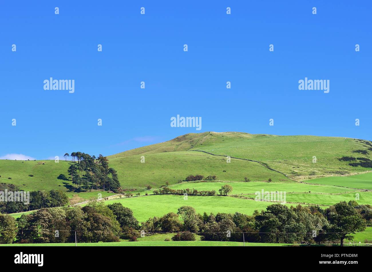 La soluzione salina, incendio, Scotland, Regno Unito. La bellezza della laminazione Scoland campagna è evidente in questa scena vicino a Salina, Scozia. Foto Stock