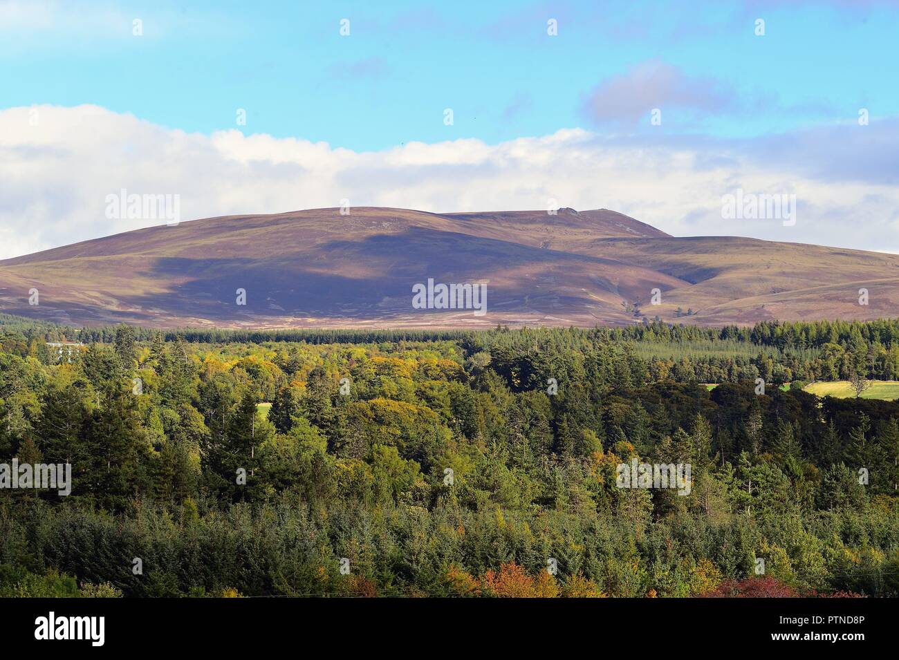 Broomhill, Scozia, Regno Unito. La bellezza degli altopiani e della campagna scozzese ad est di Inverness, all'inizio dell'autunno, si stabilisce in Scozia. Foto Stock