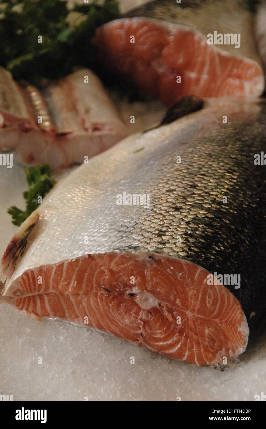 Salmone fresco. Foto Stock