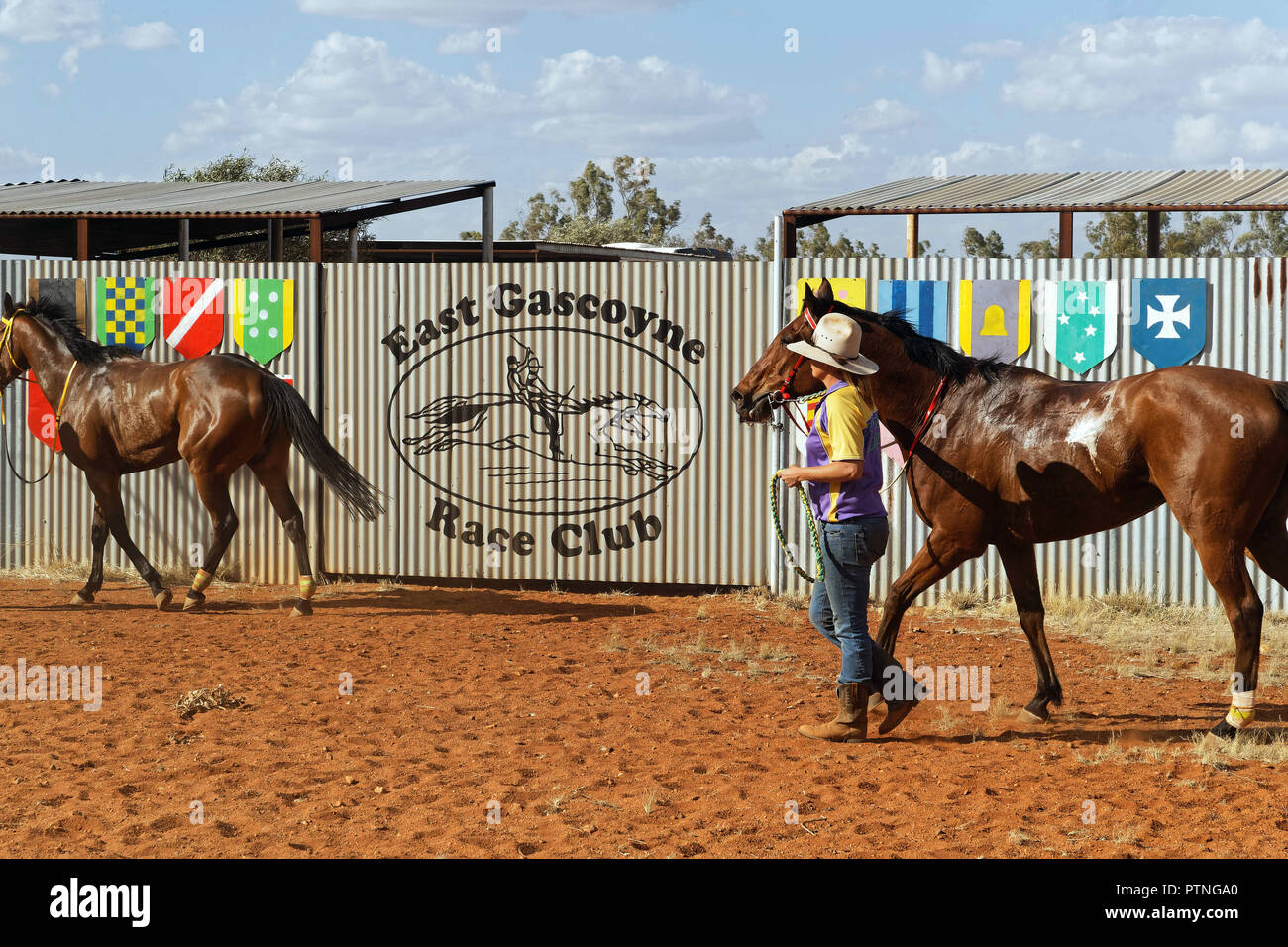 Landor,Station,Outback,Jackaroo,Aussie,cavallo,l'Australia,stockman,Austra Foto Stock