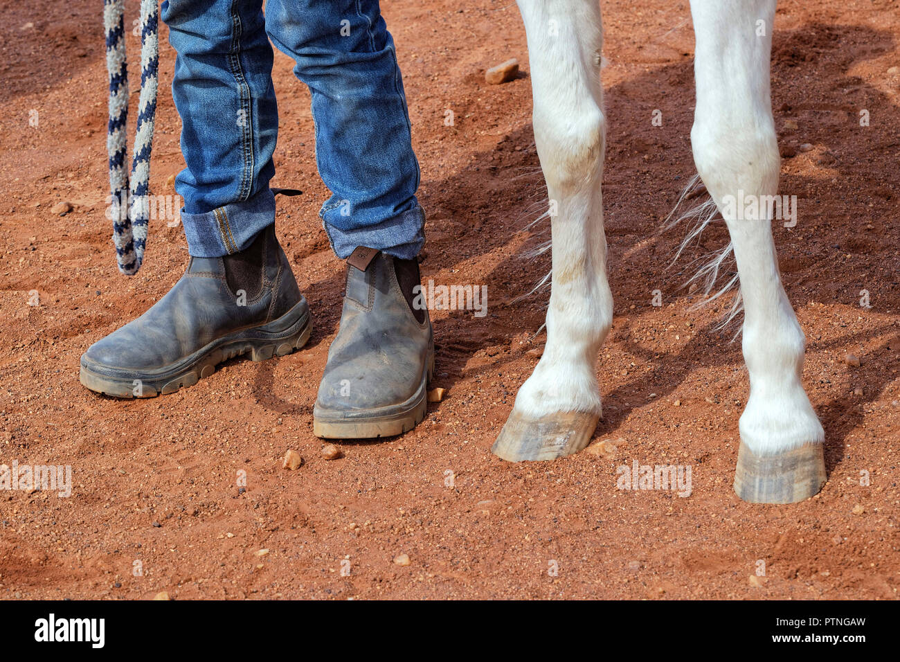 La 97th in funzione della boccola annuali gare di cavalli a Landor,,1000km a nord di Perth, Australia. Ott 2018. Foto Stock