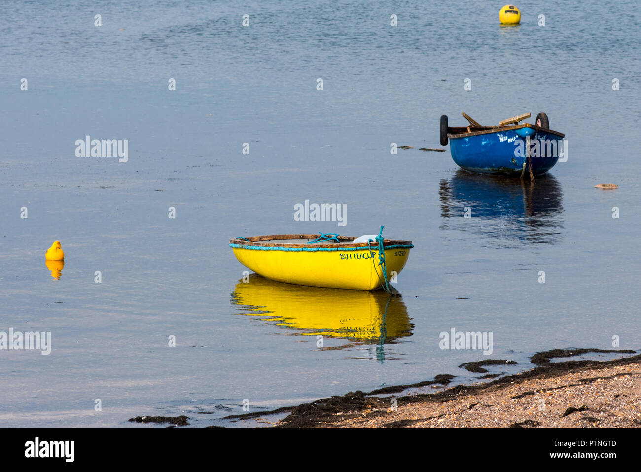 Barche colorate a Shelly Beach,Exmouth, Devon, Regno Unito. Foto Stock