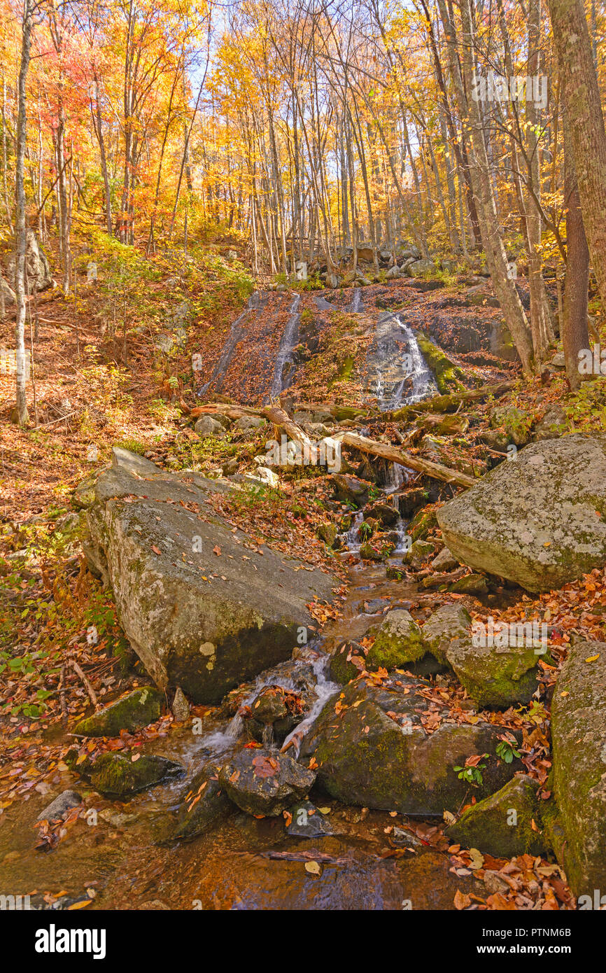 Cascata nascosti nella foresta di caduta lungo la Blue Ridge Park modo in Virginia Foto Stock