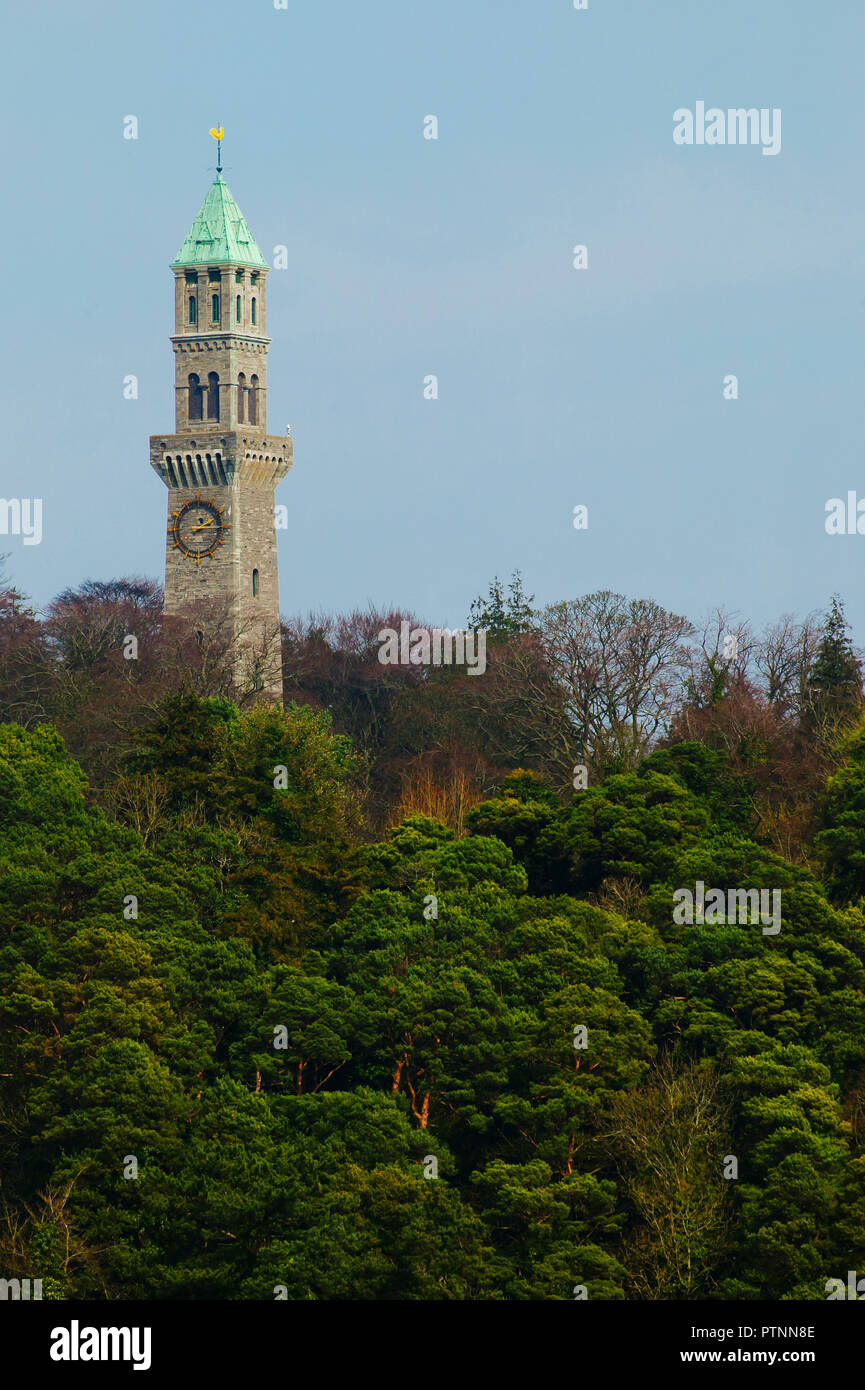 Farmleigh Torre dell Orologio (c1880) circondato da alberi, Phoenix Park di Dublino. In realtà una torre di acqua per alimentare la station wagon, che una volta era di proprietà della famiglia Guinness Foto Stock