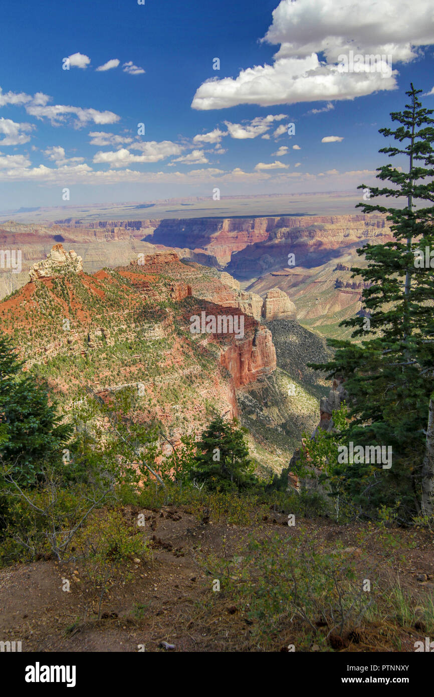 North Rim Grand Canyon Foto Stock