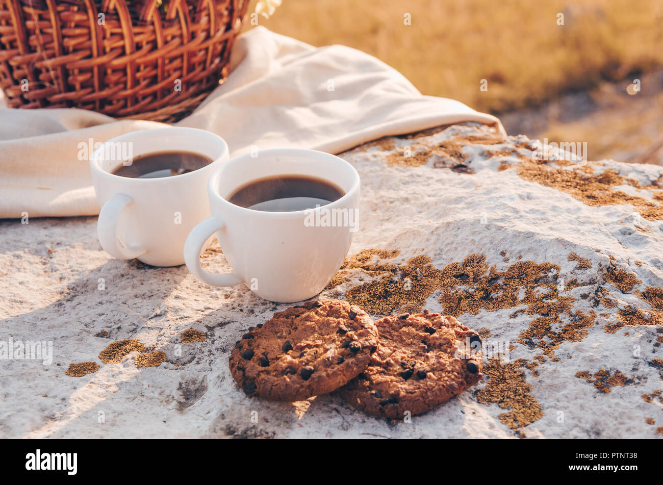 Due tazze di caffè, cioccolato biscotti fatti in casa e igienico. Impostazione picnic Foto Stock