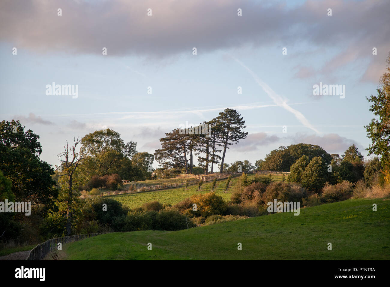 Vista rurale di campi e gli alberi della campagna nei pressi di Shenington, Oxfordshire, Regno Unito. Adottate in autunno in una giornata di sole Foto Stock