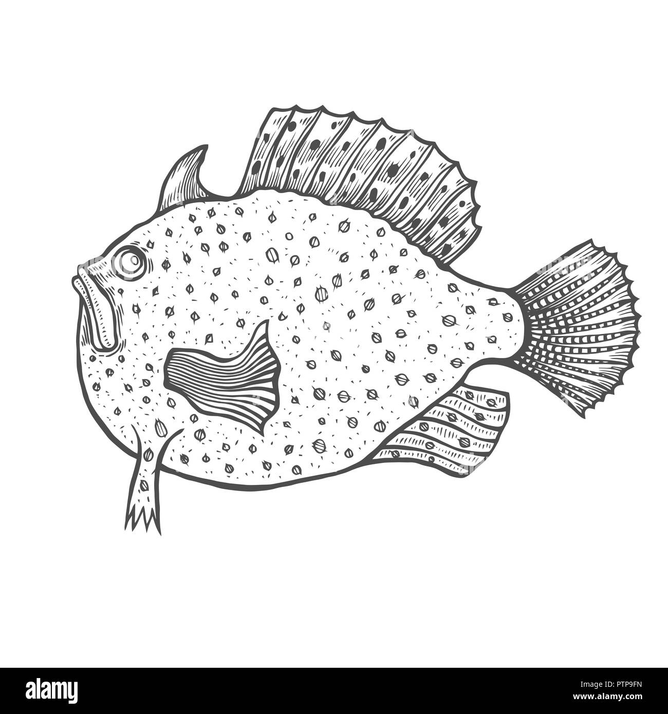 Funny Fish stile di incisione. Libro da colorare per adulti e bambini, antistress pagine da colorare. Disegnata a mano vettore illustrazione isolato su sfondo bianco. Illustrazione Vettoriale