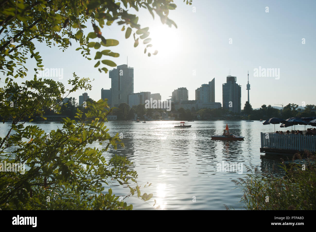 Wien, Sommer an der Alten Donau Foto Stock