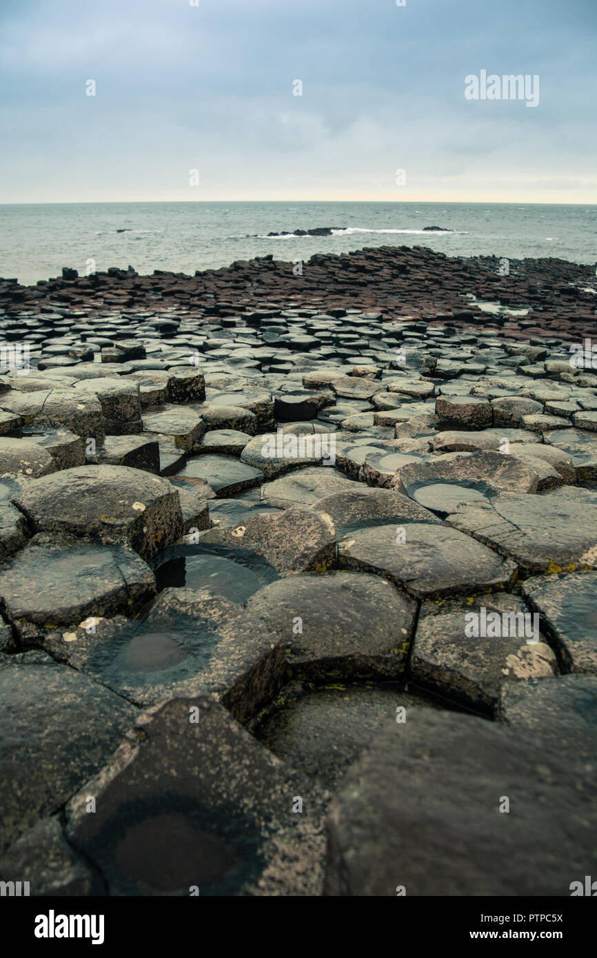 Esagonale naturale formazioni rocciose di Il Selciato del gigante in Irlanda del Nord Foto Stock