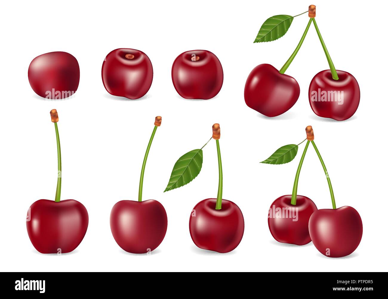 Set di realistica di ciliegia matura con foglie. Modelli per succhi di frutta e sana alimentazione e nutrizione della pubblicità. Red Cherry isolato su bianco. 3d illustrazione vettoriale Illustrazione Vettoriale