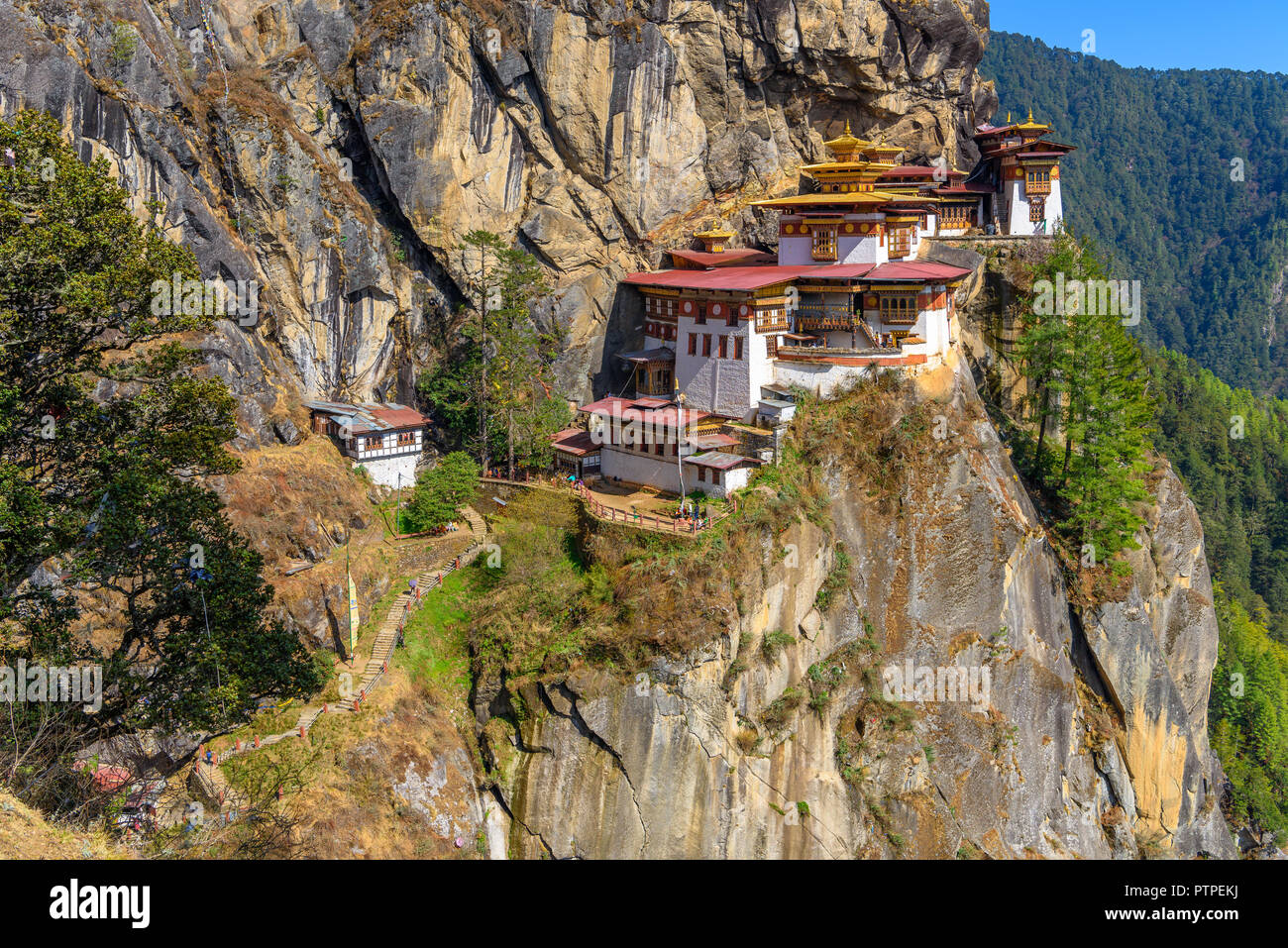 Tiger's Nest Monastero, Paro Taktsang, situato su una scogliera a paro, Bhutan, uno splendido scenario e lo sfondo delle montagne e degli alberi Foto Stock