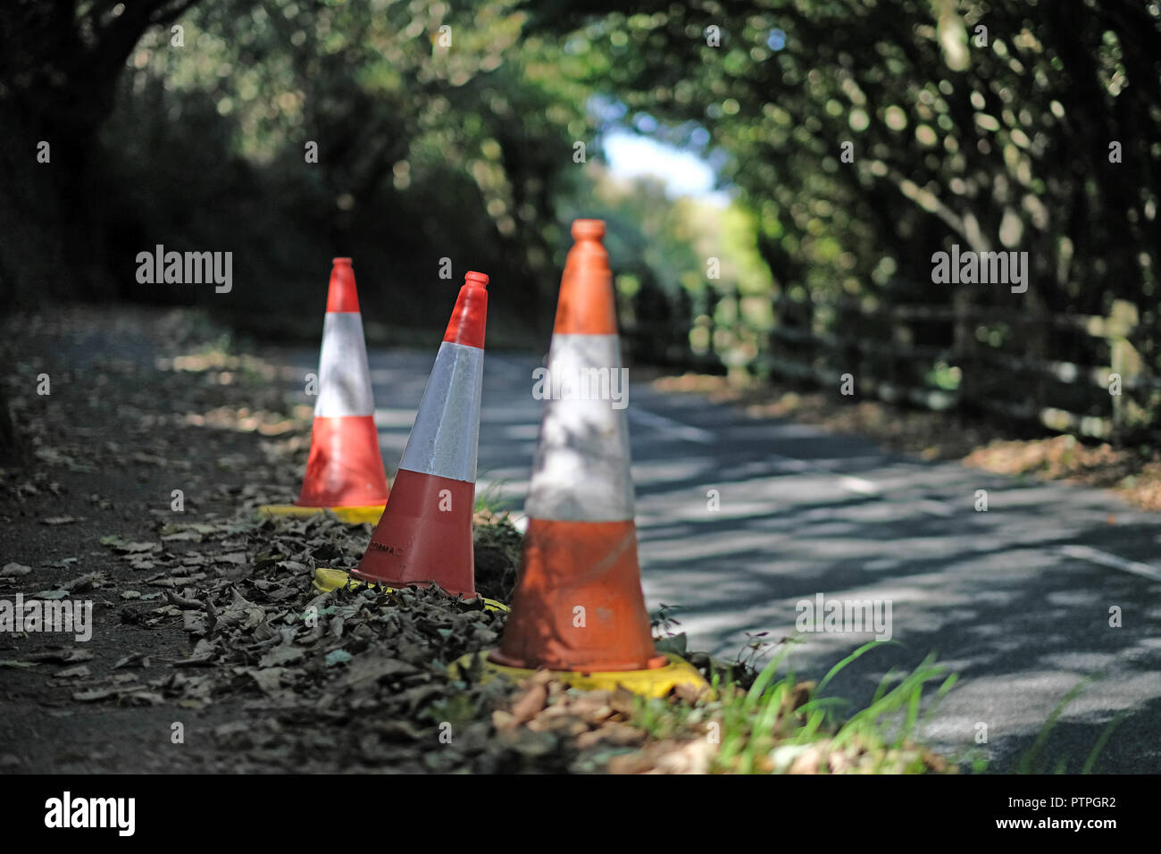 Delimitatori del traffico dal lato della strada. Foto Stock