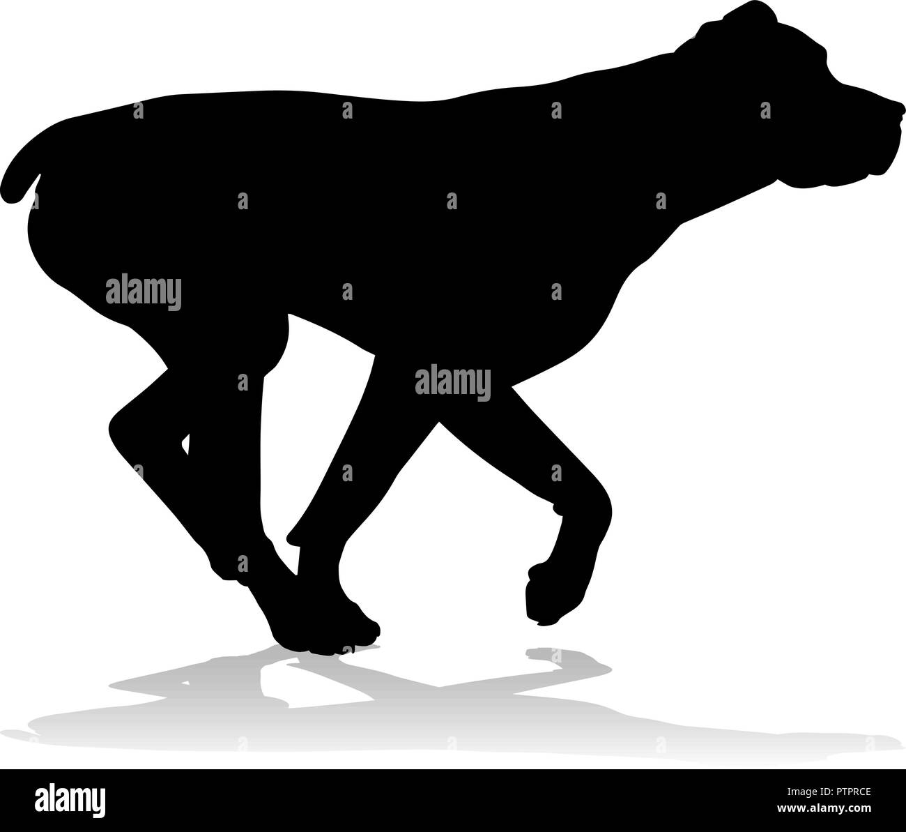 Silhouette cane animale domestico Illustrazione Vettoriale