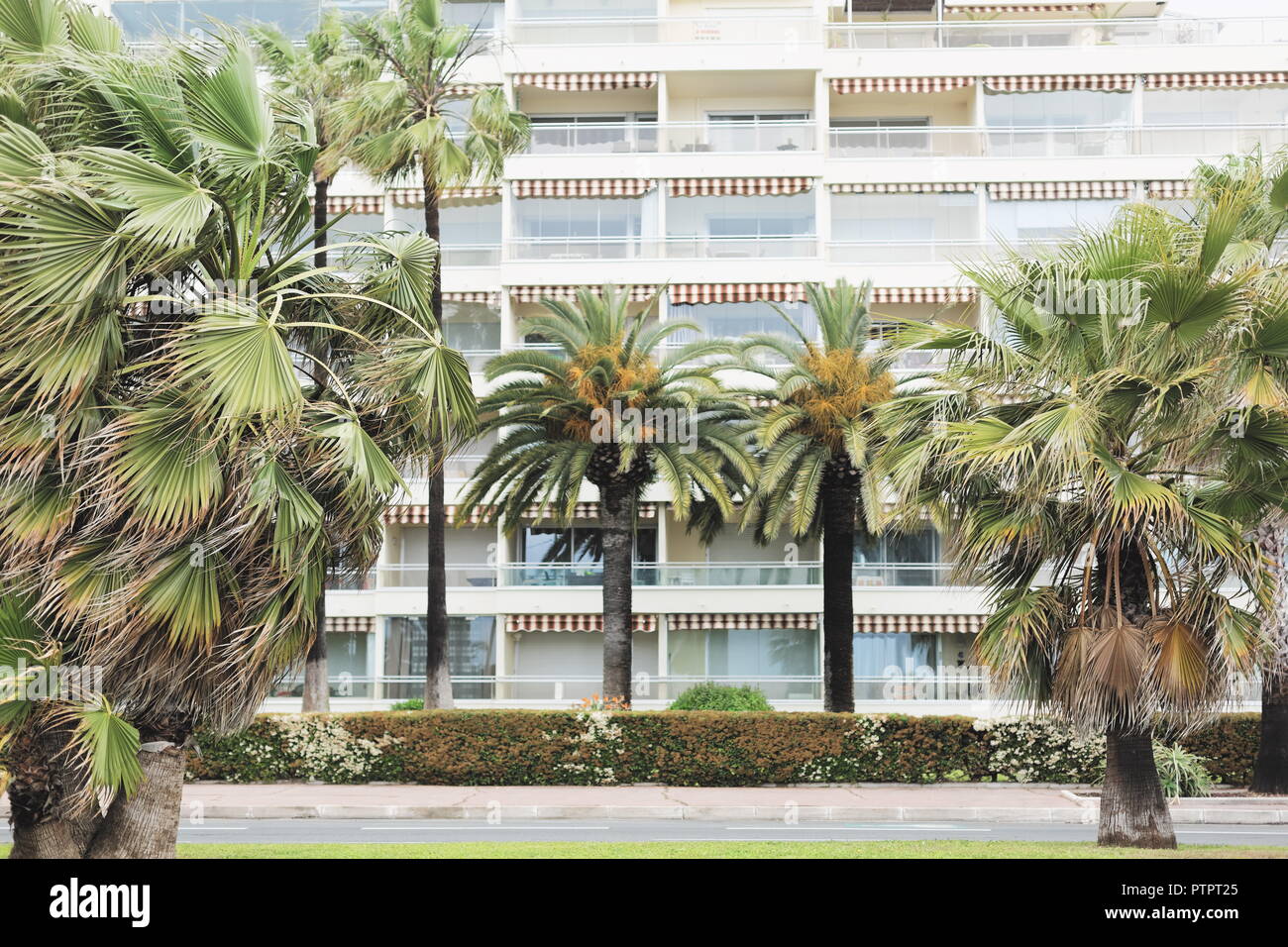 Edificio lungo la spiaggia di Cannes, Alpes Maritimes, 06, PACA, Francia Foto Stock