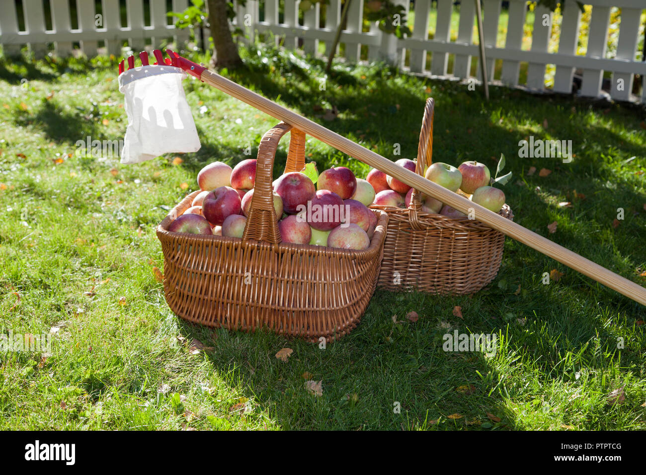 Cestini di mele e un frut raccoglitori Foto Stock