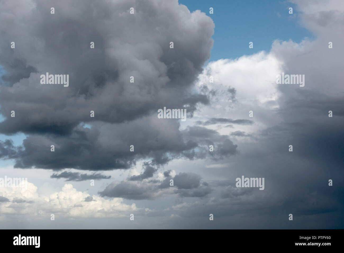 Vista su un impressionante, bello e tempestoso cloudscape, con splendide sfumature di grigio e bianco contro un cielo blu Foto Stock