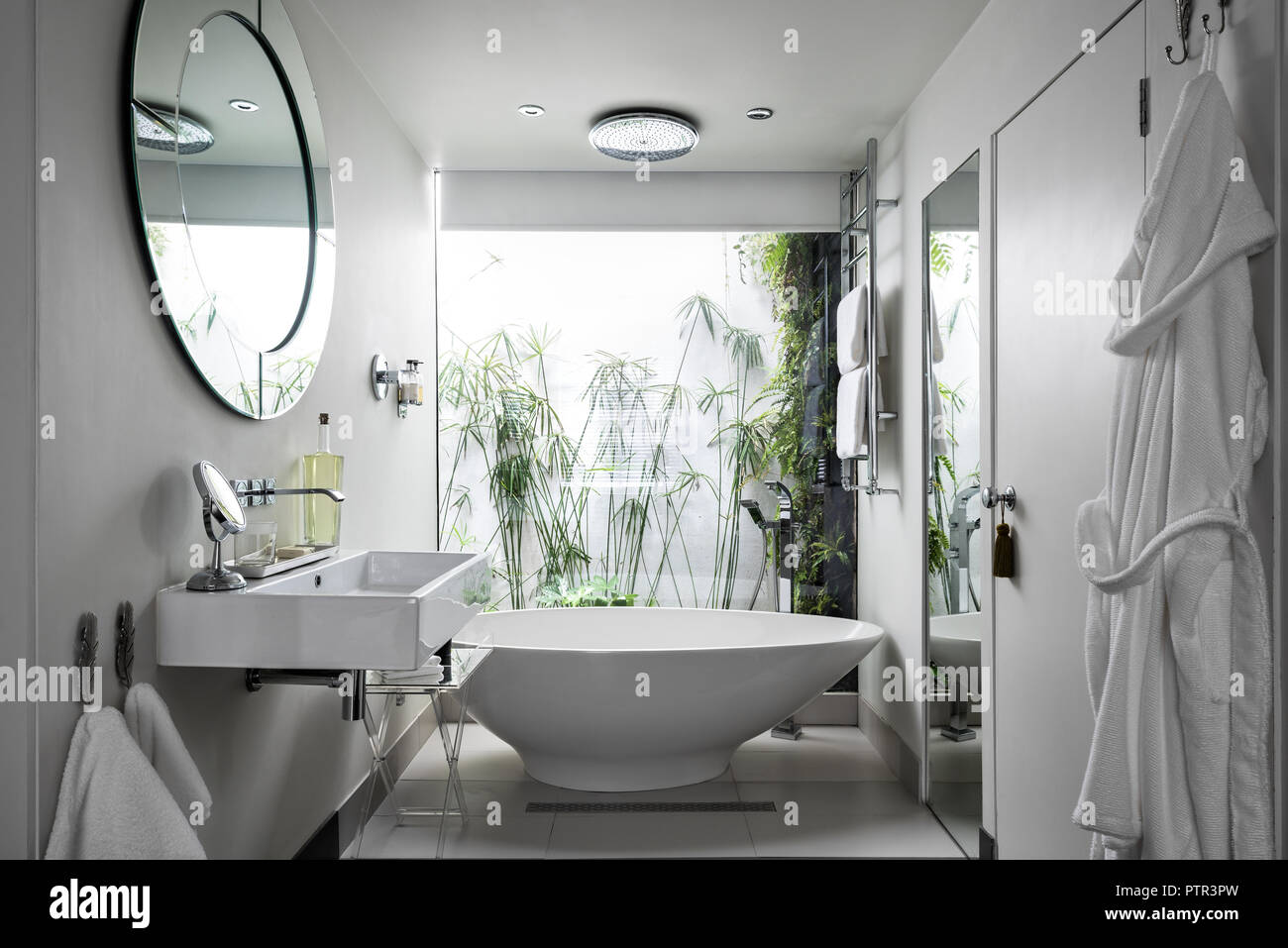 Essenza bagno indipendente dalla pura. nella finestra del bagno en suite Foto Stock