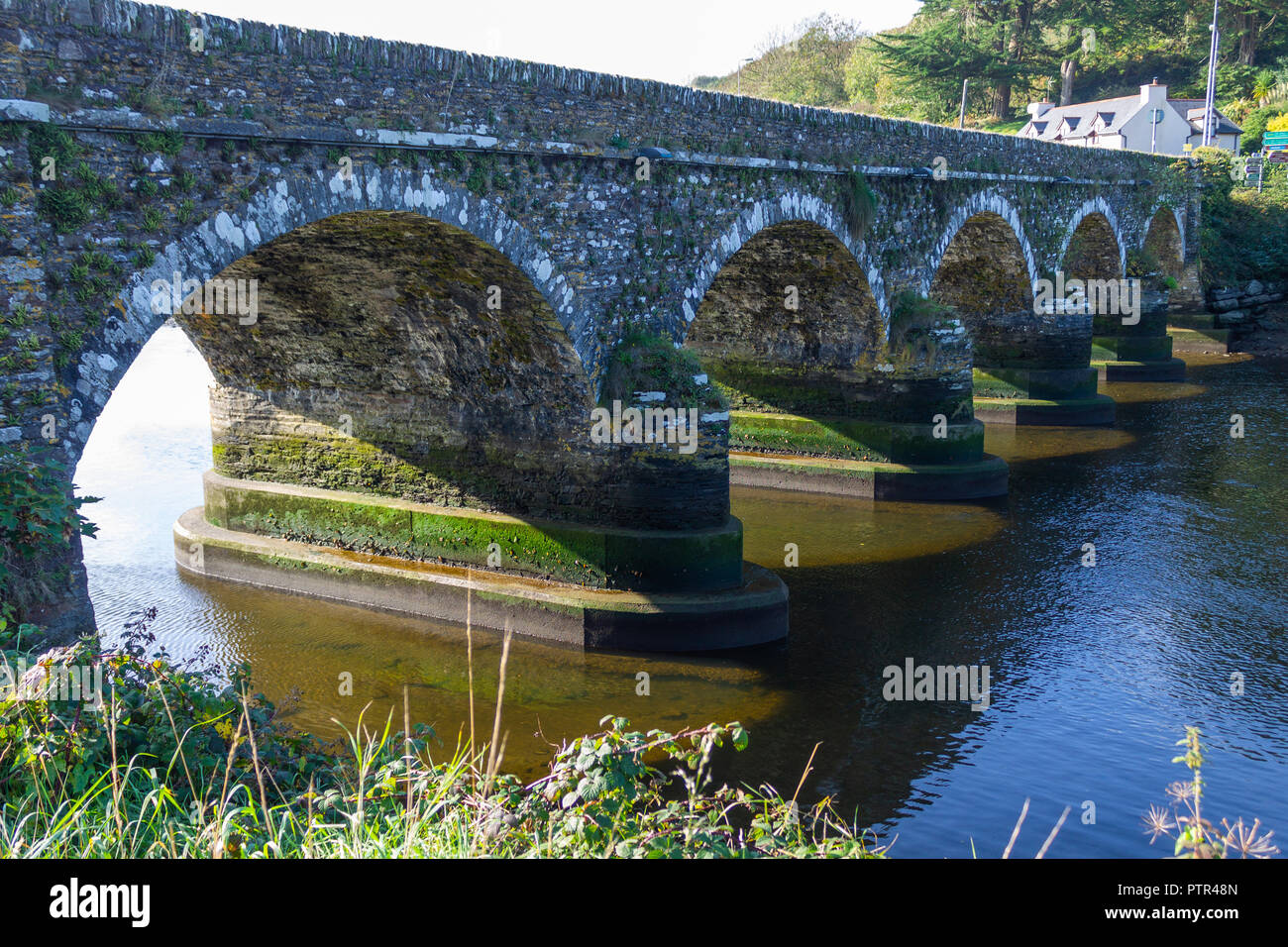 5 arcuata di ponte in pietra che attraversa il fiume ilen vicino a Skibbereen West Cork in Irlanda Foto Stock