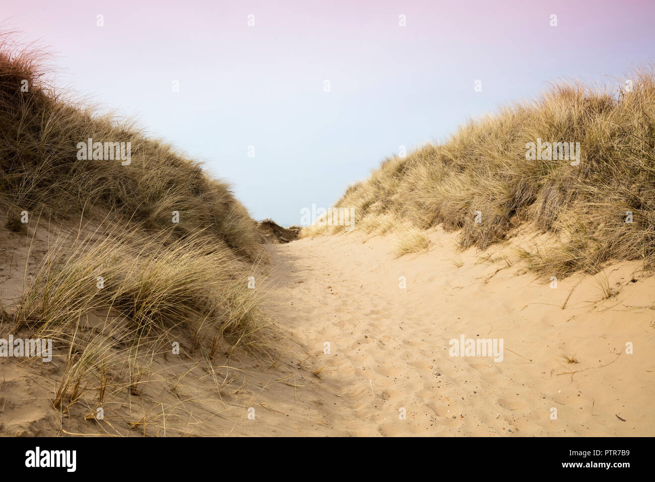 Paesaggio di dune, Sylt, Nord isola frisone, Frisia settentrionale, Schleswig-Holstein, Germania, Europa Foto Stock Paesaggio di dune, Sylt, Nord isola frisone, Frisia settentrionale, Schleswig-Holstein, Germania, Europa Foto Stock