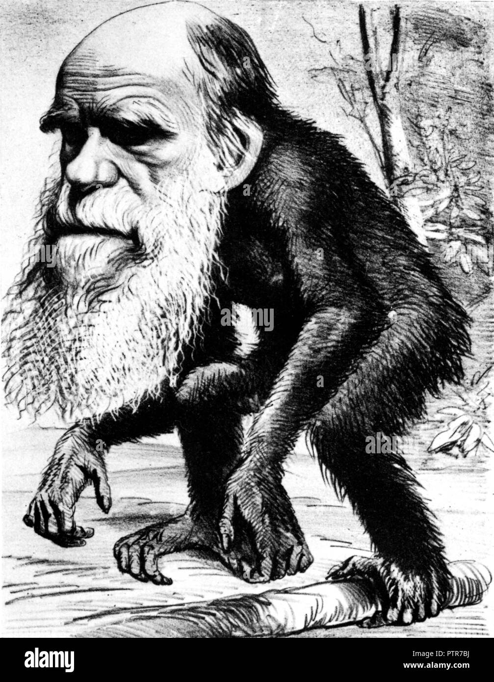 Charles Darwin come una scimmia, 1871 cartoon dall'Hornet magazine con la dizione "Un Venerabile Orang-Utan un contributo alla storia innaturale' Foto Stock