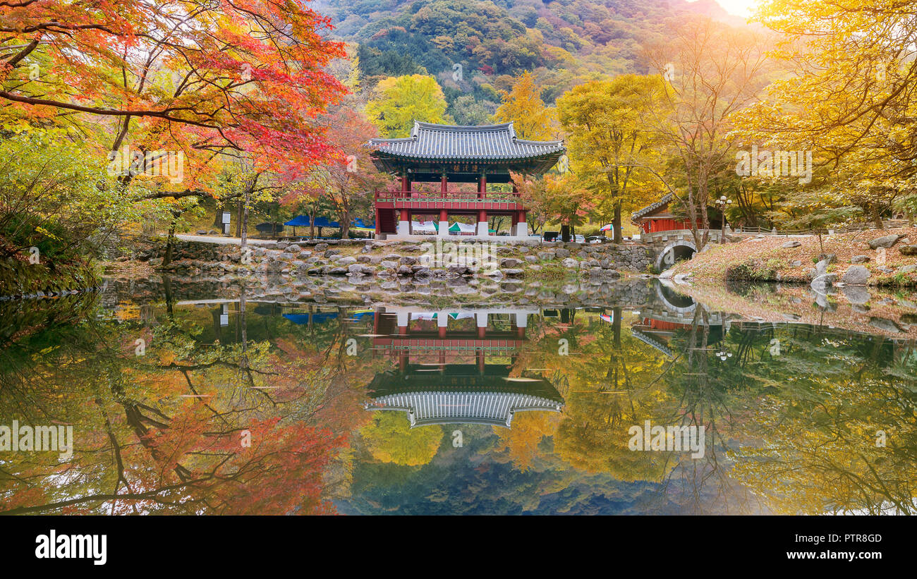 Baekyangsa tempio in autunno,Naejangsan Park in Corea del Sud. Foto Stock