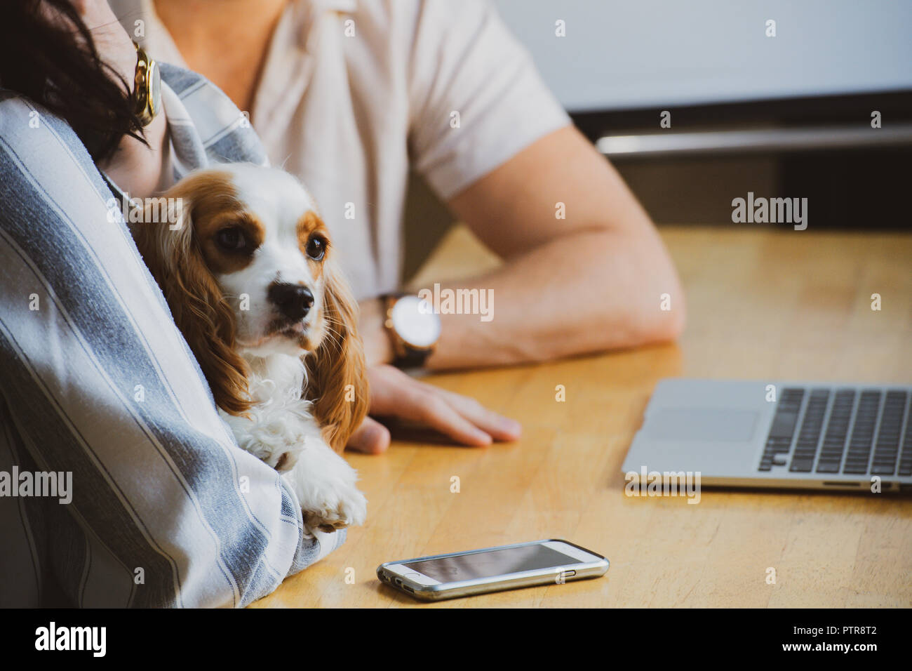 Gli imprenditori in un co-spazio di lavoro che funzioni come il loro ufficio Foto Stock