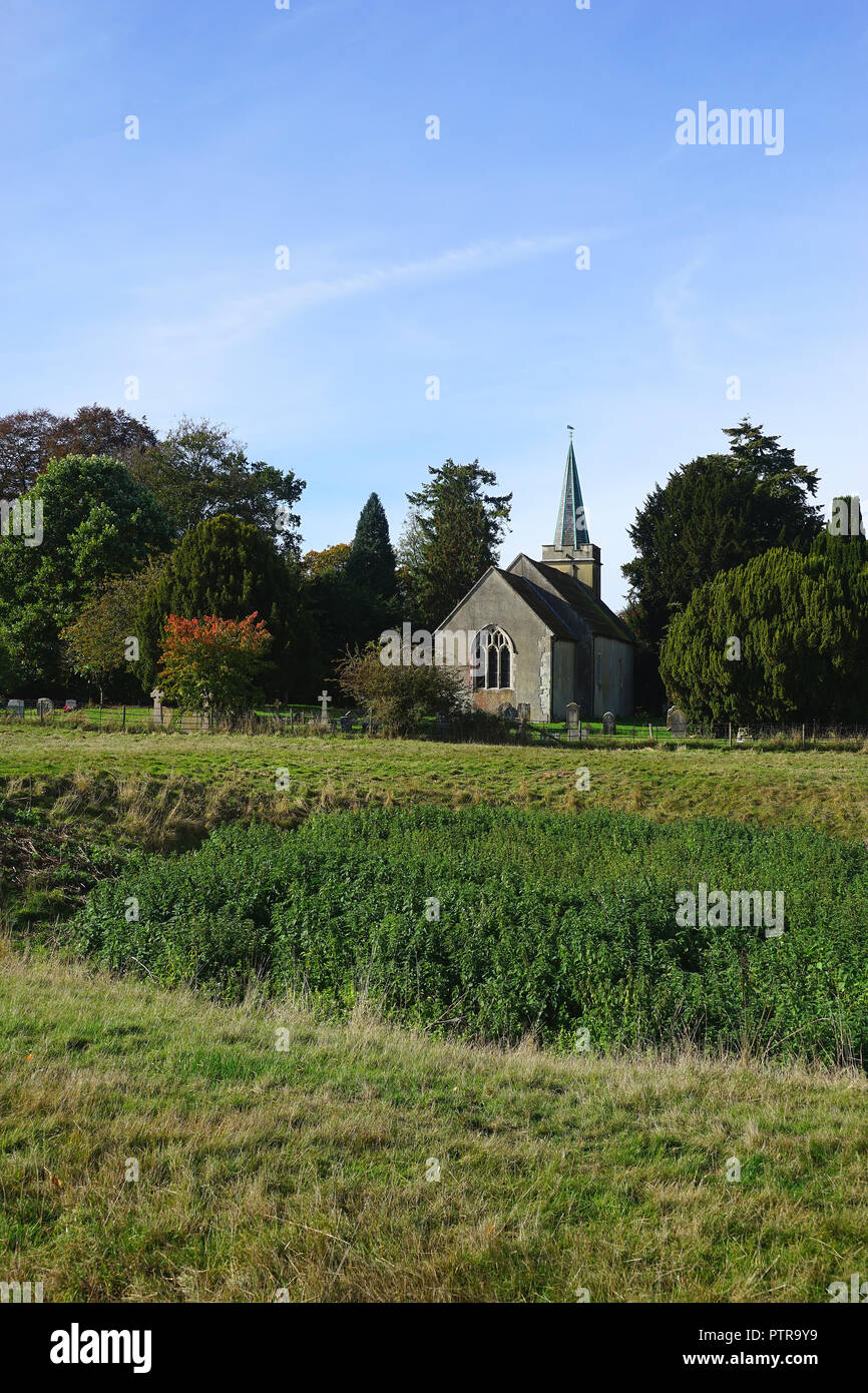 La Chiesa di San Nicola, Steventon visto dai prati nella parte posteriore. Foto Stock