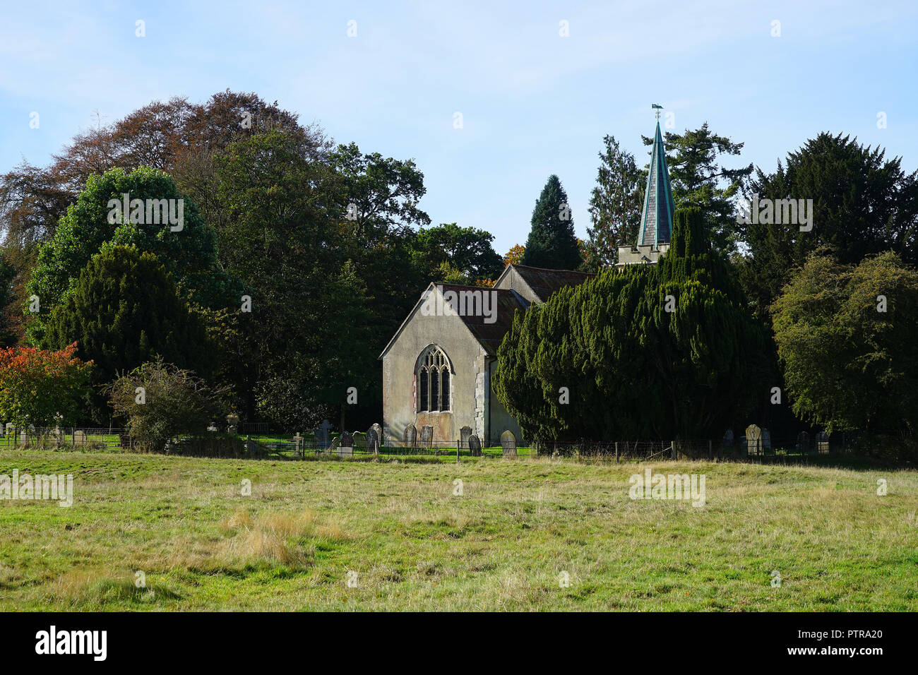 La Chiesa di San Nicola, Steventon visto dai prati nella parte posteriore. Foto Stock