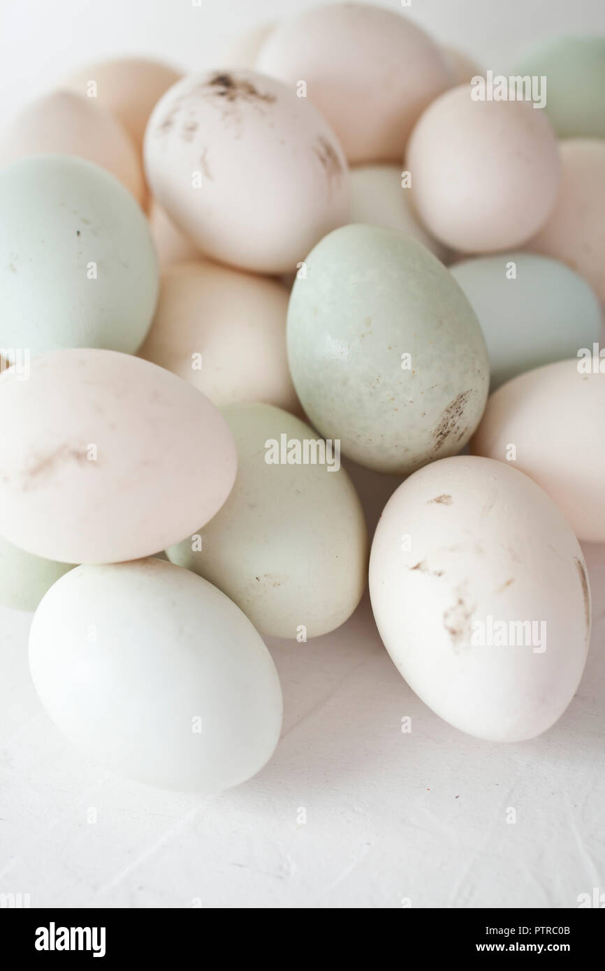 Partita di uova in diversi colori Foto Stock