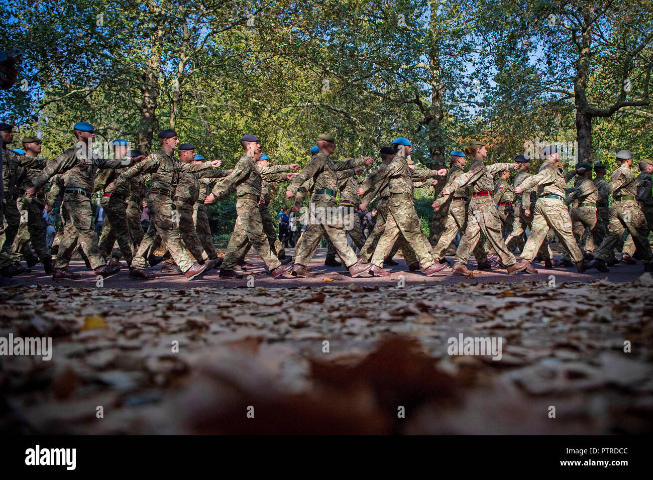 Il personale dell'esercito marzo giù Birdcage a piedi in Londra guidati dalla banda del granatiere delle guardie per un ricevimento nel Palazzo di Westminster. Foto Stock