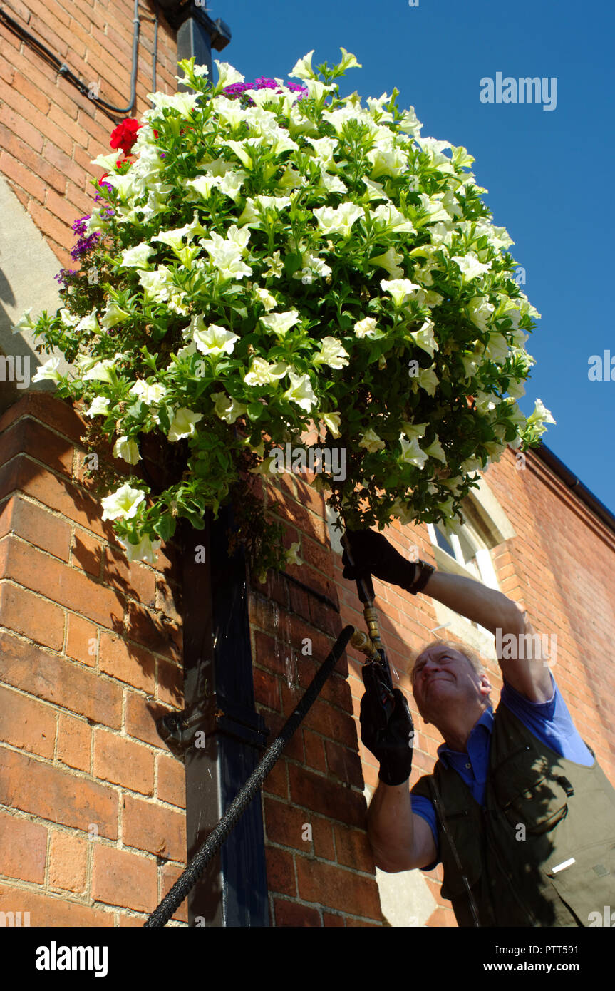 Stony Stratford, Inghilterra. 10 ottobre, 2018. Sassoso in Bloom volontario Alan casella città dà fiori la loro ultima irrigazione dell'anno, in Piazza del Mercato a Stony Stratford. Questo anno la città ha vinto quattro premi della Royal Horticultural Society della Gran Bretagna in fiore concorrenza, compreso un Gold Award nella piccola cittadina di categoria. Credito: Roger Bradbury/Alamy Live News. Foto Stock