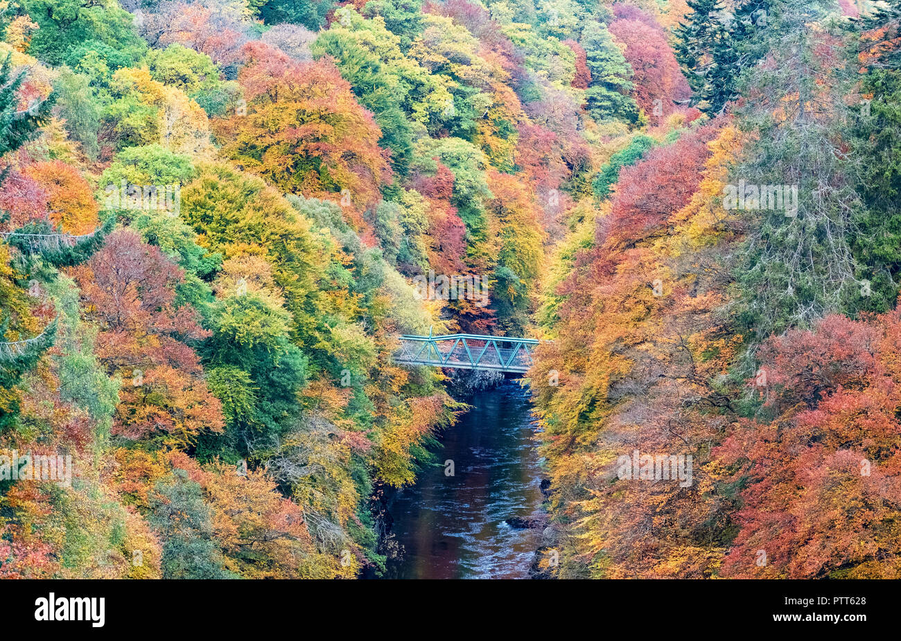 Pitlochry, Scotland, Regno Unito, 10 ottobre 2018. Spettacolari i colori autunnali in alberi circondano un piccolo ponte pedonale che attraversa il fiume Garry a Killiecrankie, il famoso Perthshire spot di bellezza. Credito: Iain Masterton/Alamy Live News Foto Stock