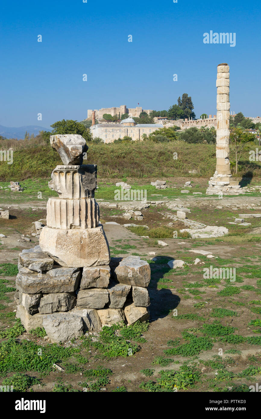 Tempio di Artemide rovine - una delle sette meraviglie del mondo antico - Selcuk, Turchia. Foto Stock