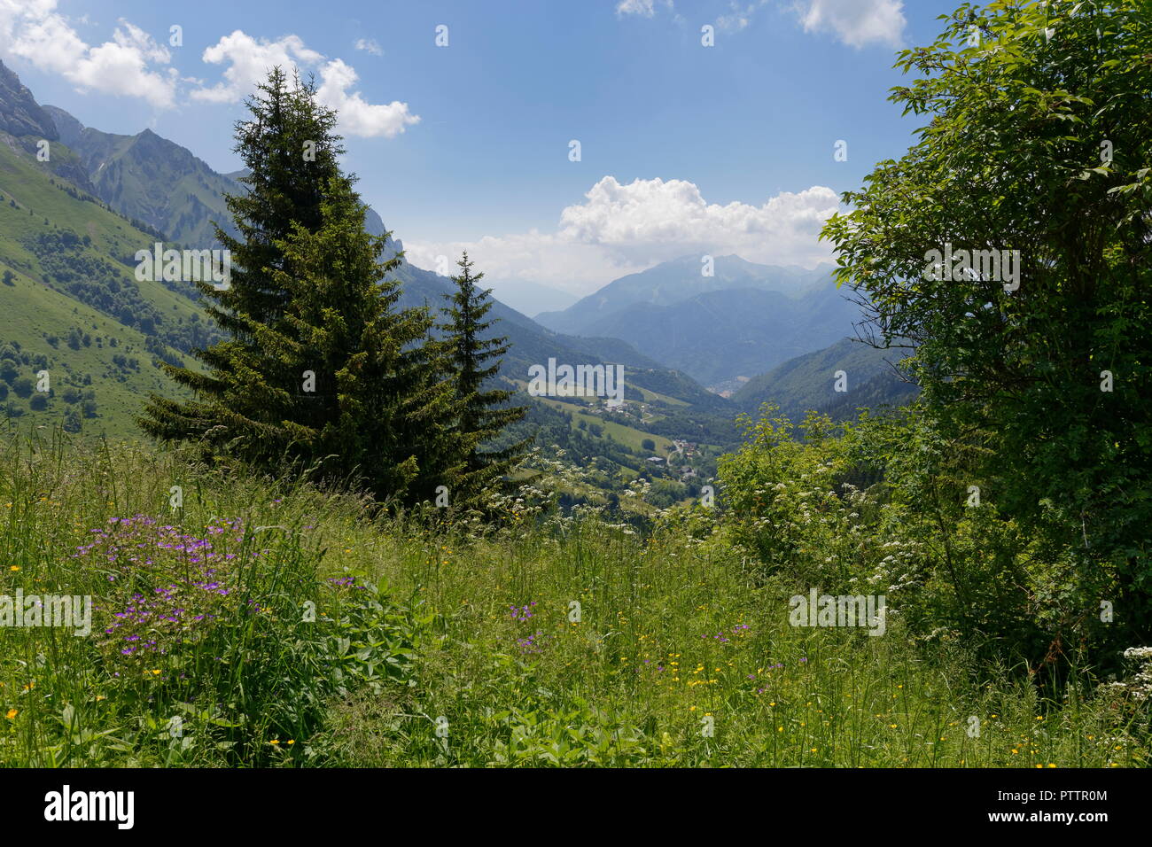 Fiori di prato e distante valle e le montagne intorno al Col de la Forclaz Francia Foto Stock