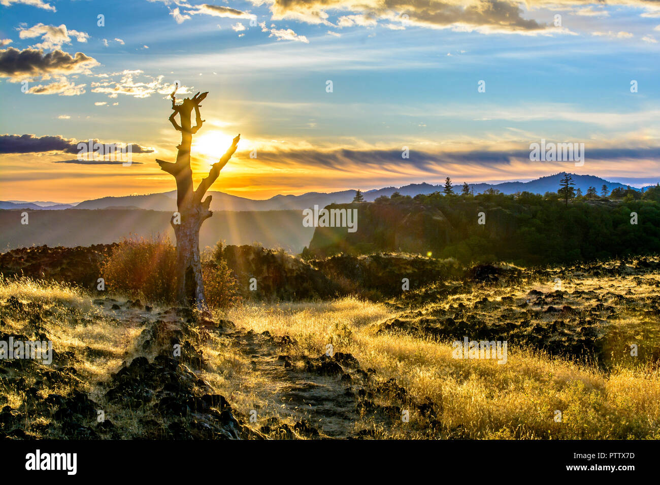 Tramonto dietro un albero sfrondato sulla tavola di roccia in Medford, Oregon Foto Stock