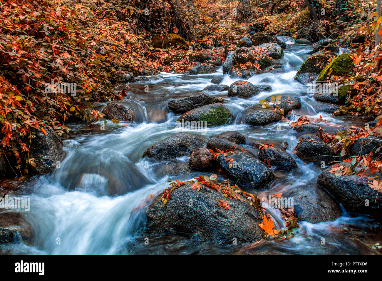 Ashland Creek che scorre attraverso il parco Lithia durante l'autunno Foto Stock