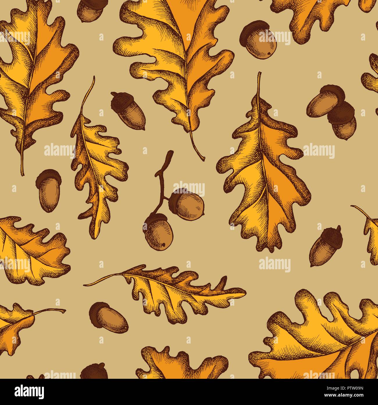 Vector seamless pattern di foglie di quercia e ghiande. Disegnato a mano illustrazione vettoriale Illustrazione Vettoriale