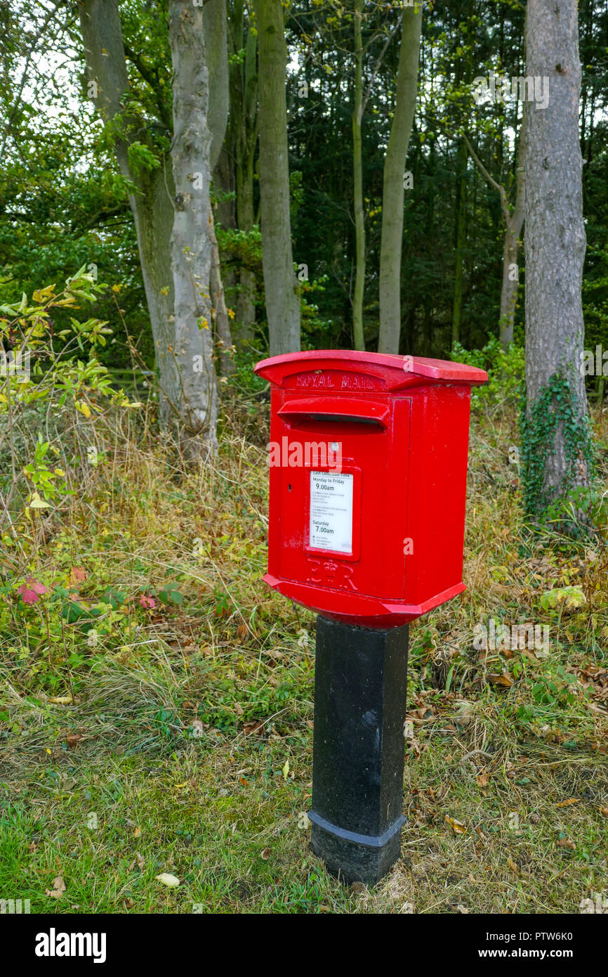 Red English postbox sul montante in legno, campagna, Catterick, North Yorkshire, Regno Unito Foto Stock