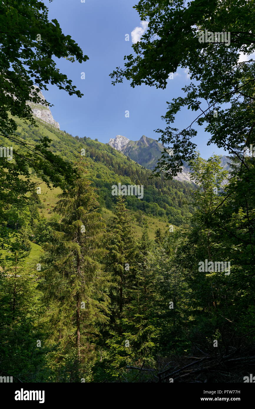 Vista delle montagne e colline attraverso la chioma nr Montmin Francia Foto Stock