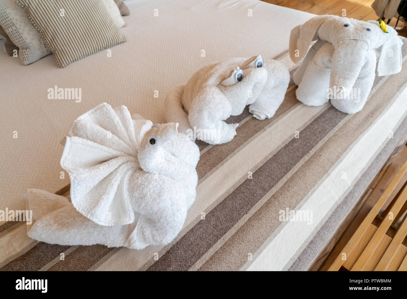 Pacaya Samiria Riserva, Perù, Sud America. Asciugamano-folding arte creazioni di una lumaca, granchi e elefante. Foto Stock