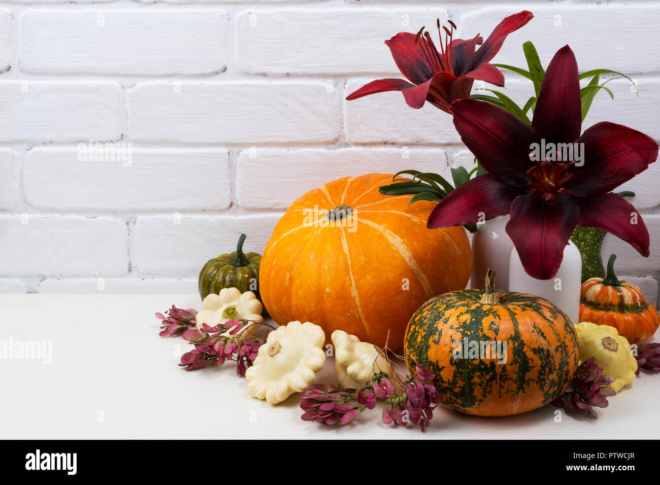 Tabella di ringraziamento centrotavola con la Borgogna giglio rosso fiori, squash e zucche arancione su sfondo bianco Foto Stock