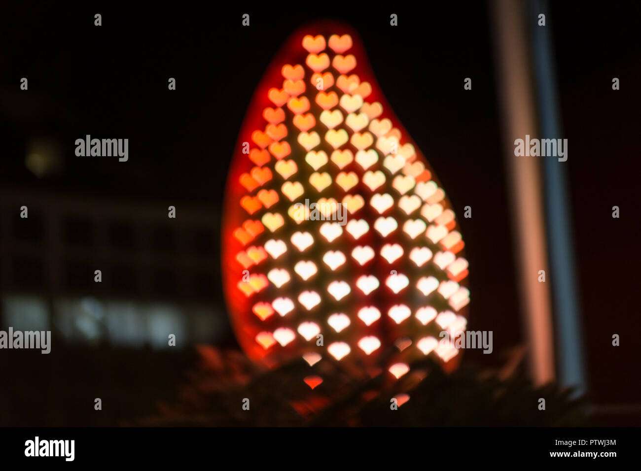 Silhouette di un incendio con luci a forma di cuore, tutto sfocato. Con copyspace. Foto Stock