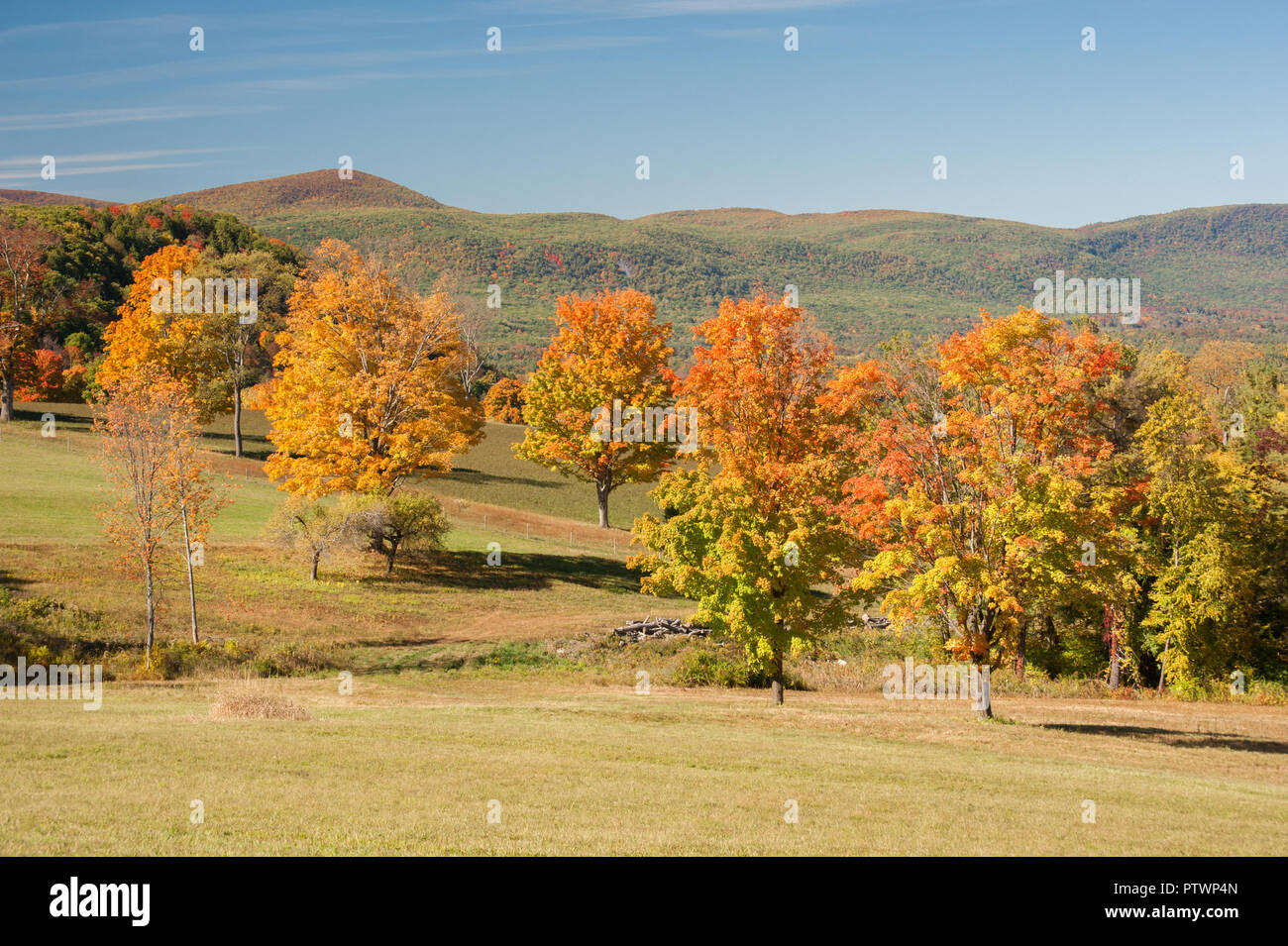 Vista di vivaci colori caduta Berkshire Hills e foresta, messa. Stati Uniti d'America Foto Stock