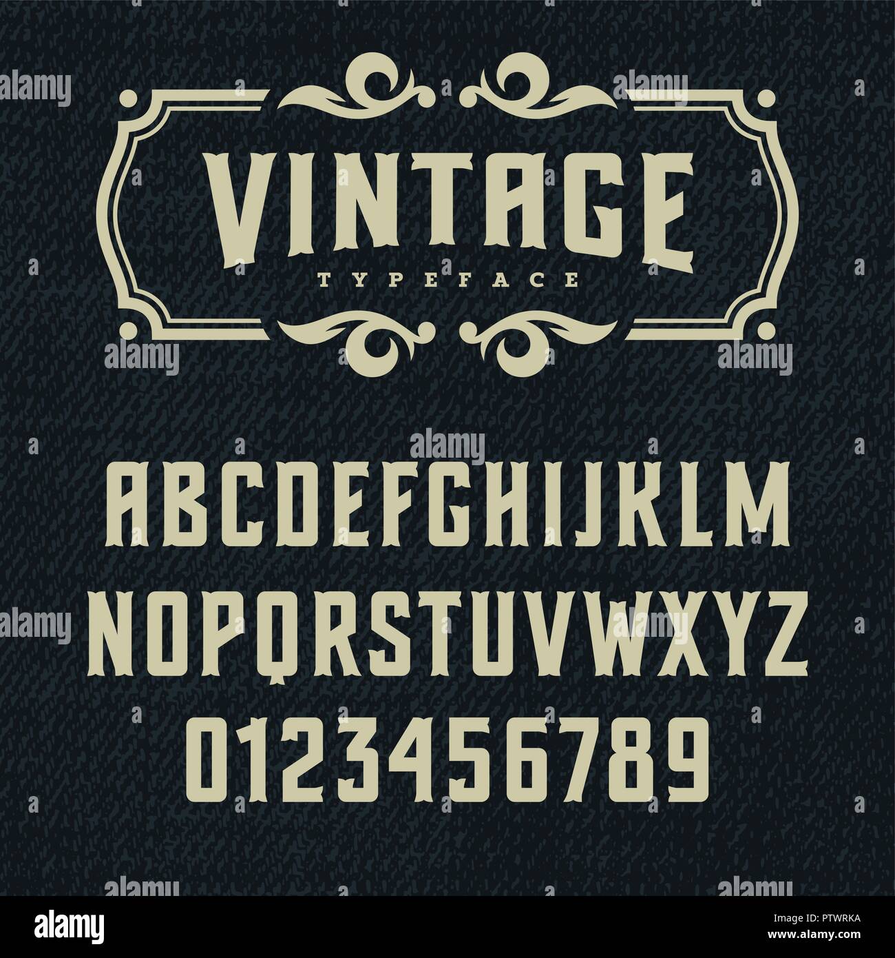 Wild West tipografico / Retrò alfabeto in stile western / Lastra di tipo Serif lettere su un sfondo grunge / Handmade Vintage Font per le etichette e poster Illustrazione Vettoriale