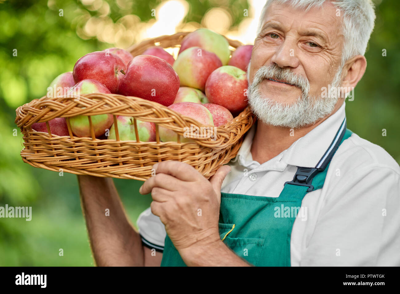 Chiusura del vecchio contadino con i capelli grigi tenendo premuto sulla sua spalla cesto pieno di mele fresche. Uomo che guarda la fotocamera e sorridente. Giardiniere barbuto indossando tute verde e bianco di t-shirt. Foto Stock