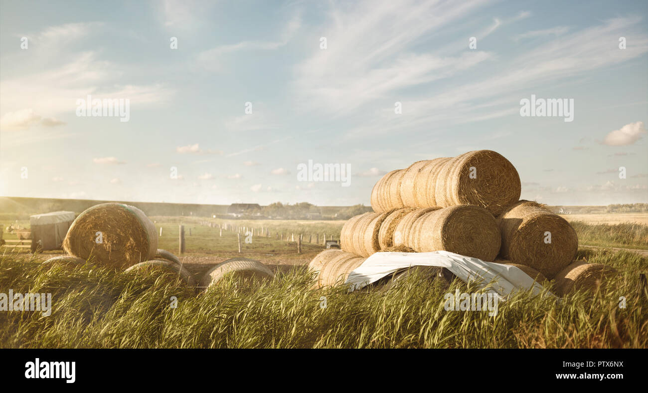 Paesaggio di campagna con impilate balle di fieno Foto Stock