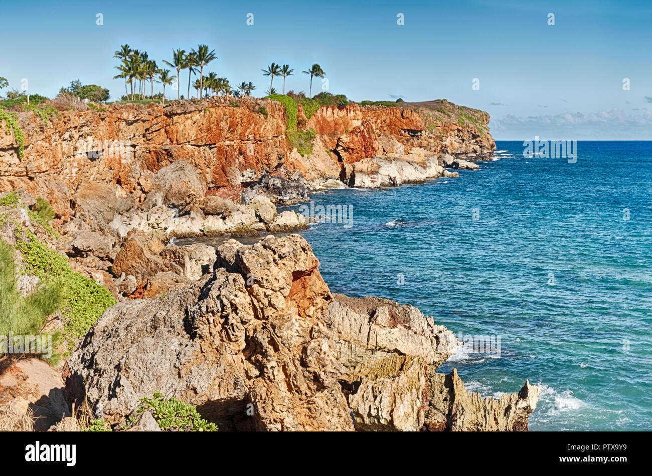 Scogliere rocciose linea la riva verso il punto a Poipu Beach golf course. Foto Stock