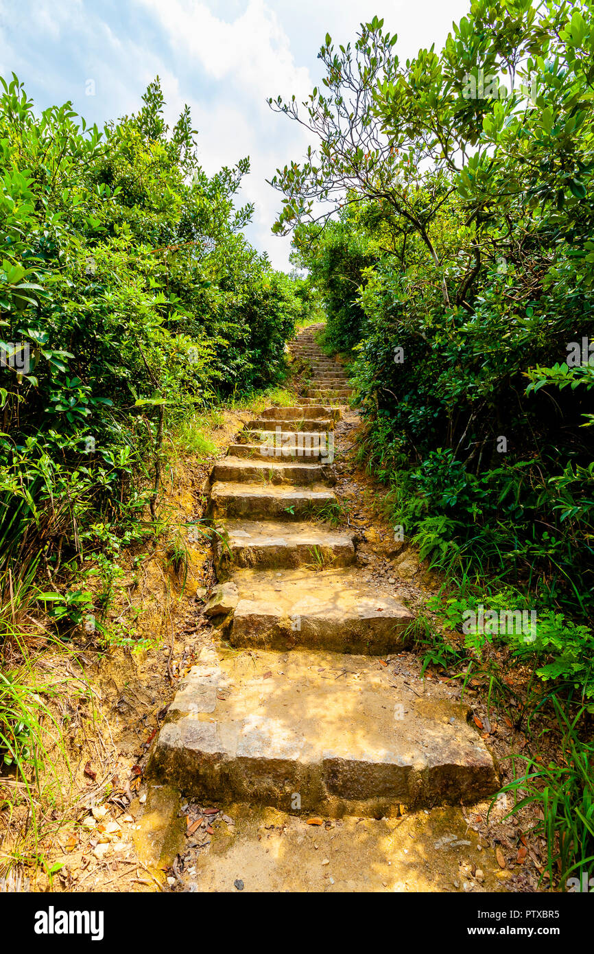 Shek O Dragon's Back mountain trail zen lussureggiante foresta verde, isola di Hong Kong Foto Stock